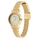 Titan Quartz Analog White Dial Golden Metal Strap Watch For Women