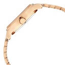 Titan Quartz Analog with Date Rose Gold Dial Rose Gold Metal Strap Watch For Women