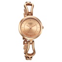 Titan Raga Quartz Analog Rose Gold Dial Rose Gold Metal Strap Watch For Women