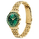 Sonata Poze Quartz Analog Green Dial Golden Metal Strap Watch For Women