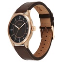 Titan Neo Basics Analog with Brown Dial Brown Leather Strap Watch for Men