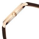 Titan Neo Basics Analog with Brown Dial Brown Leather Strap Watch for Men