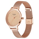 Poze by Sonata Quartz Analog Pink Dial Stainless Steel Strap Watch for Women