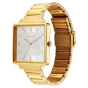 Titan Karishma Silver Dial Watch for Men