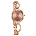 Titan Raga Quartz Analog Rose Gold Round Dial Rose Gold Metal Strap Watch For Women