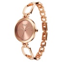 Titan Raga Quartz Analog Rose Gold Round Dial Rose Gold Metal Strap Watch For Women