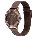 Titan Purple Superheads Quartz Analog Brown Dial Brown Stainless Steel Strap Watch For Women