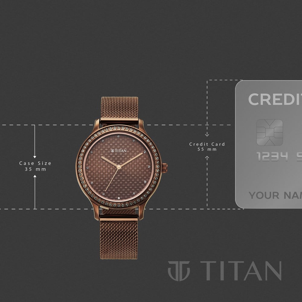 Titan Purple Superheads Quartz Analog Brown Dial Brown Stainless Steel Strap Watch For Women