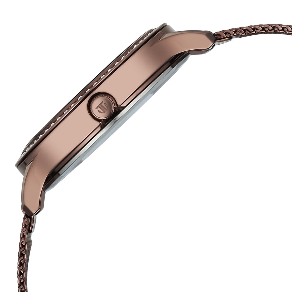 Titan Purple Superheads Quartz Analog Brown Dial Brown Stainless Steel Strap Watch For Women