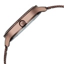 Titan Purple Superheads Quartz Analog Brown Dial Brown Stainless Steel Strap Watch For Women