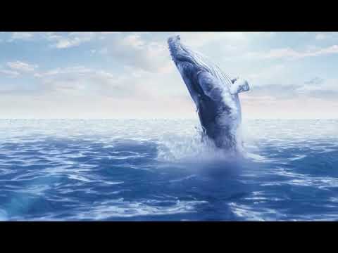 Fastrack Oceanyx - Ceramic Quartz Multifunction Blue Dial Two Toned Strap Watch For Guys