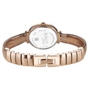 Titan Raga Viva Glam Quartz Analog Mother of Pearl Dial Stainless Steel Strap Watch For Women