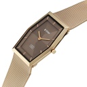 Titan Edge Whimsey Quartz Analog Brown Dial Golden Stainless Steel Strap Watch For Women