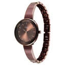 Titan Raga Showstopper Quartz Analog Brown Dial Metal Strap Watch For Women