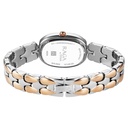 Titan Raga Showstopper Quartz Analog Silver Dial Two Toned Metal Strap Watch For Women