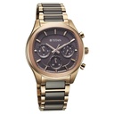 Titan Classique Ceramic Fusion Men's Multi-Function Watch with Glossy Steel Case & Mineral Crystal