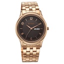 Titan Karishma Brown Dial Analog with Day and Date Stainless Steel Strap Watch for Men