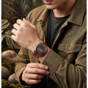 Fastrack Wild Analog with Brown Dial Brown Metal Strap Watch for Guys (3)