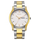 Titan Karishma Regal Classic Day-Date Men's Dress Watch (2)