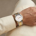 Titan Karishma Regal Classic Day-Date Men's Dress Watch (8)