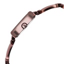 Titan Raga Viva Brown Dial Analog Metal Strap Watch for Women (4)