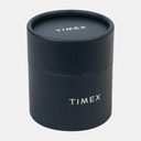 Timex Trendline Women Quartz Dial Analog Brass Watch TWEL11425 (5)