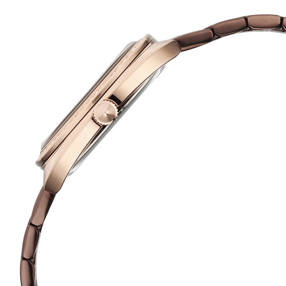Titan Purple Glamour Quartz Analog Brown Dial Brown Stainless Steel Strap Watch For Women (5)