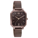 Sonata Modern Edit Quartz Analog Brown Dial Brown Stainless Steel Strap Watch For Women (2)