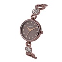 Logues Quartz Analogue Brown Dial Brown Metal Strap Watch For Women (2)