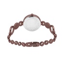Logues Quartz Analogue Brown Dial Brown Metal Strap Watch For Women (3)