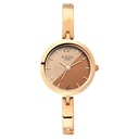 Titan Raga Viva Bicolour Dial Women Watch With Metal Strap