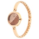Titan Raga Viva Bicolour Dial Women Watch With Metal Strap