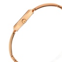 Titan Raga Viva Bicolour Dial Women Watch With Metal Strap