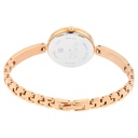 Titan Raga Viva Bicolour Dial Women Watch With Metal Strap