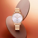 Titan Edge Slim Stainless Steel Strap White Dial Analog Watch for Women