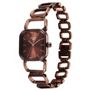 Titan Raga Ascend Quartz Analog Brown Dial With Brown Color Metal Strap Watch For Women