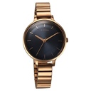 Titan Secluded Quartz Analog Blue Dial Metal Strap Watch For Women