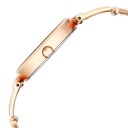 Titan Raga Ascend Quartz Analog Mother Of Pearl Dial With Two Toned Color Metal Strap Watch For Women