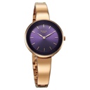 Titan Raga Showstopper Quartz Analog Purple Dial Metal Strap Watch for Women