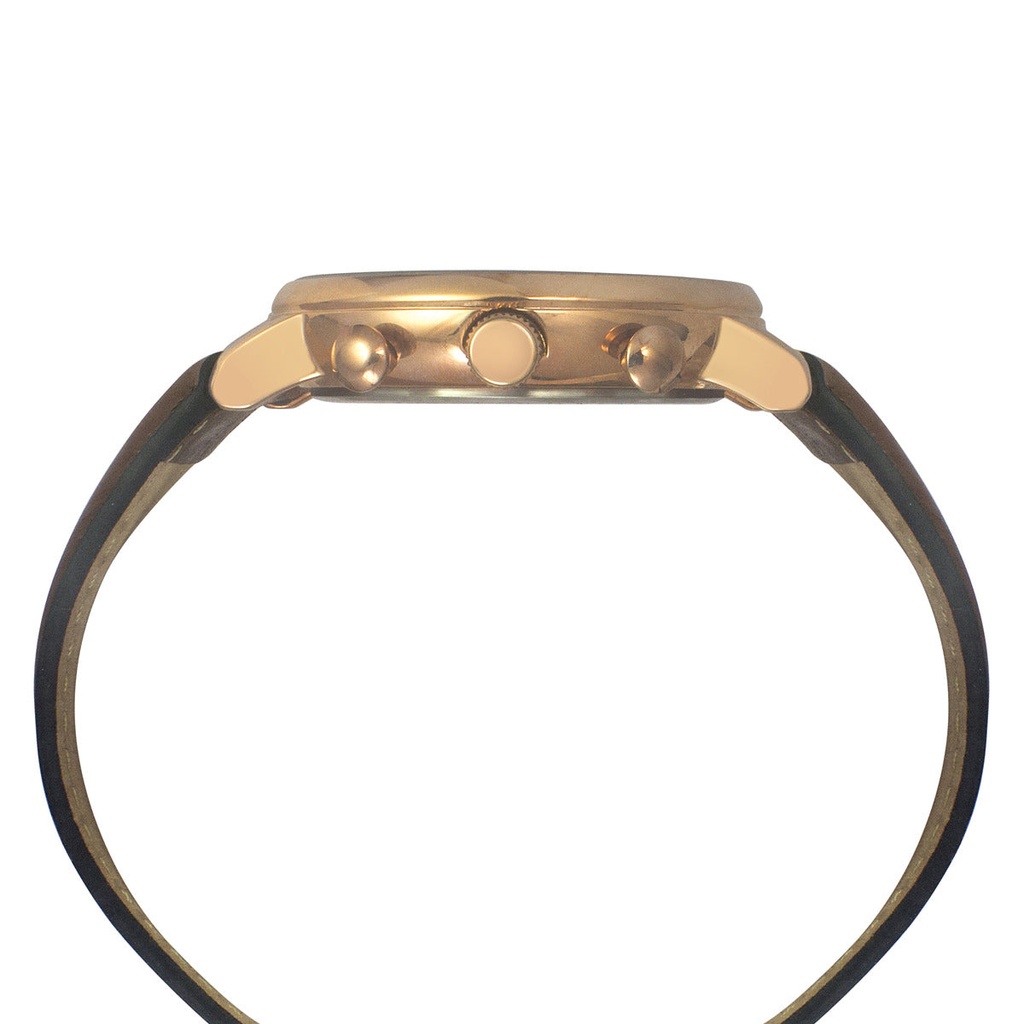 Timex Fashion Men's Silver Dial Round Case Multifunction Function Watch -TWEG20005