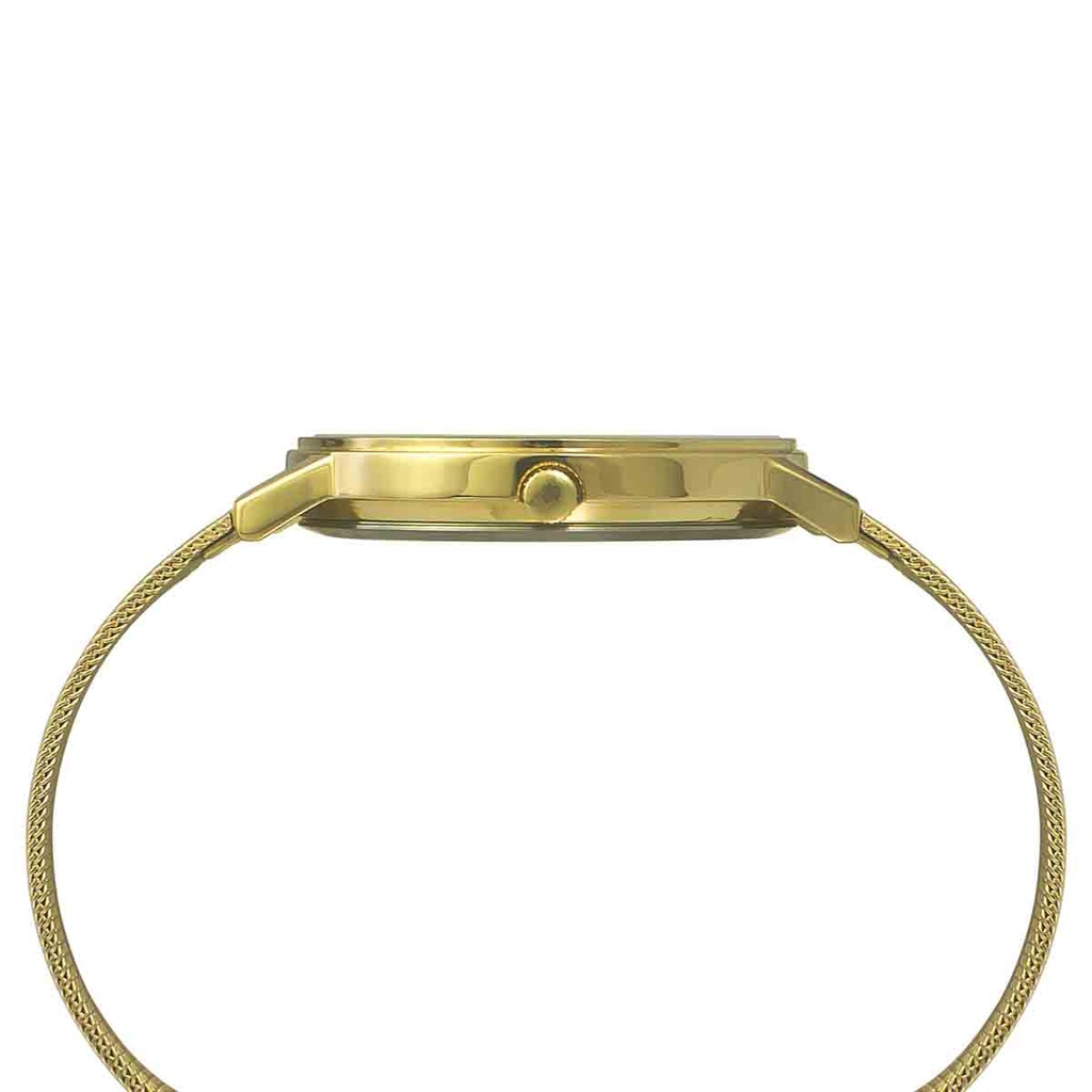 Timex Fashion Men's Silver Dial Round Case 3 Hands Function Watch -TW0TG8010