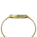 Timex Fashion Men's Silver Dial Round Case 3 Hands Function Watch -TW0TG8010