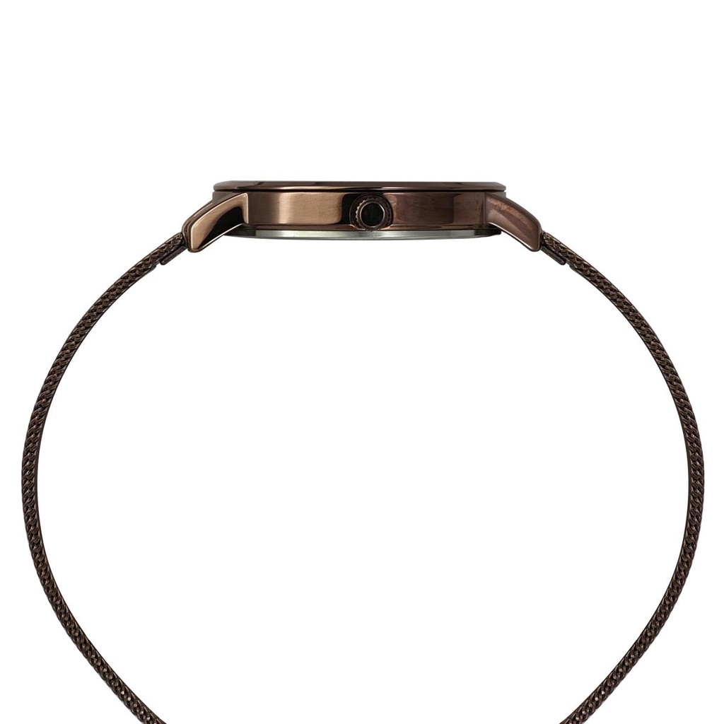 TIMEX Women Brown Round Dial Analog Watch - TWEL15619