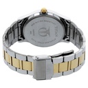 Titan Quartz Analog with Day and Date Silver Dial Two Toned Stainless Steel Strap Watch For Men