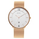 Titan Black and Gold Silver Dial Analog Stainless Steel Strap watch for Men