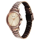 Titan Karishma Quartz Analog Beige Dial Brown Stainless Steel Strap Watch For Women