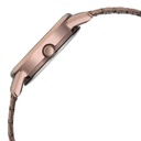 Titan Karishma Quartz Analog Beige Dial Brown Stainless Steel Strap Watch For Women