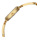 Titan Raga Champagne Dial Watch for Women