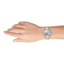 Titan Raga Showstopper Quartz Analog Mother Of Pearl Dial Metal Strap Watch for Women