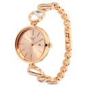 Titan Raga Viva Quartz Analog with Day and Date Rose Gold Dial Two Toned Metal Strap Watch For Women
